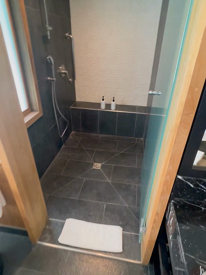 The walk-in shower, from our own footage