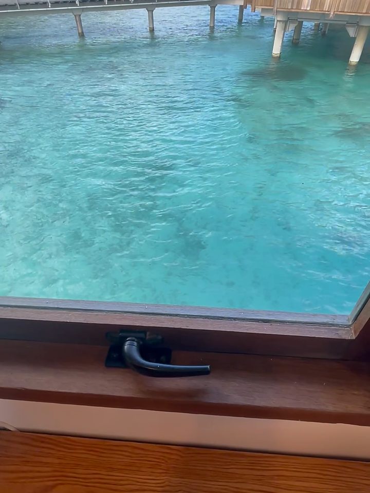 The lagoon from the desk window, from our own footage