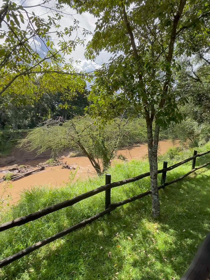 The river from the deck, from our own footage