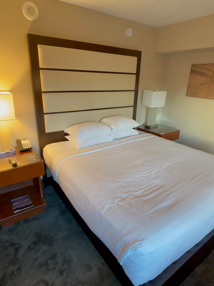 The king room, from our own footage