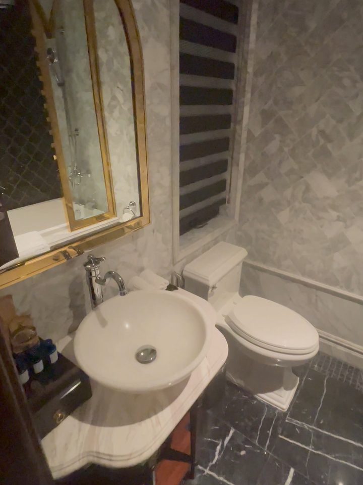 The bathroom, from our own footage