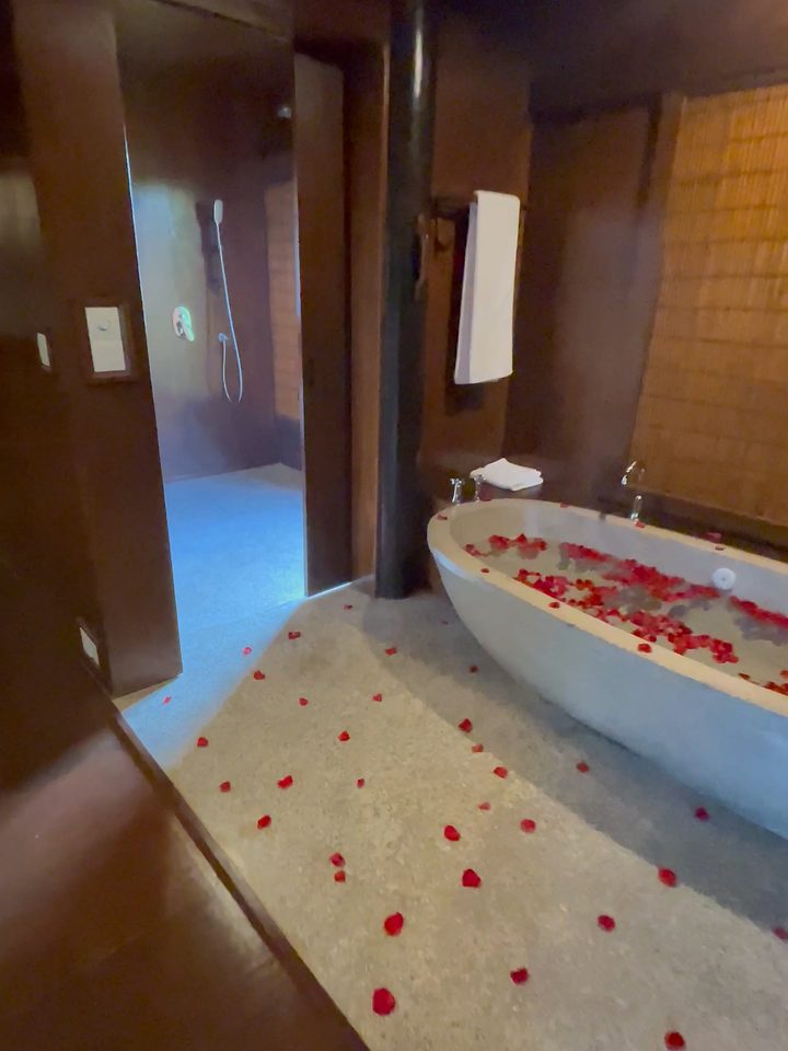 The freestanding bathtub, from our own footage