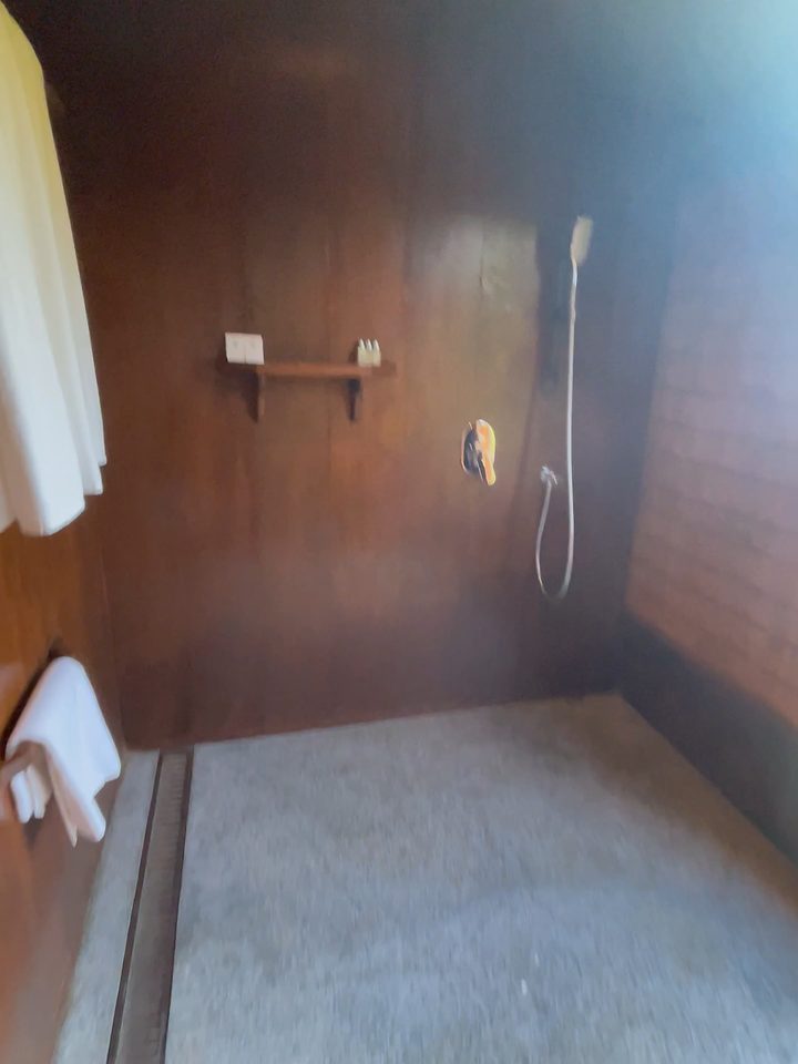 The walk-in shower, from our own footage