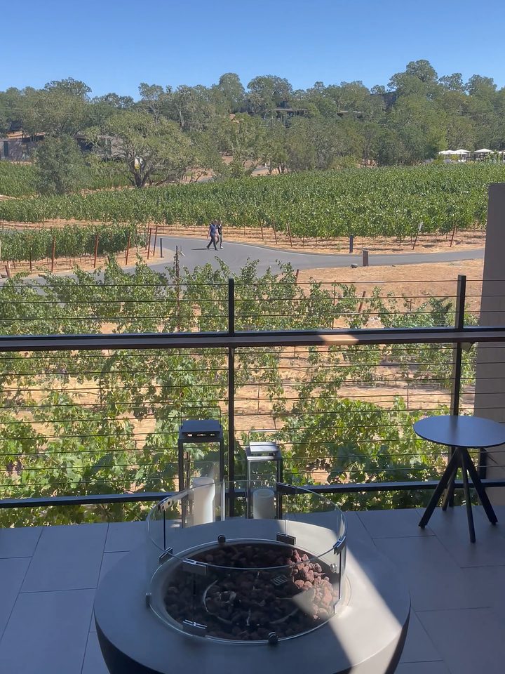 The vineyard from the balcony, from our own footage