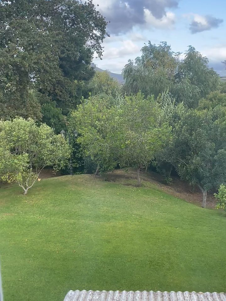 The view over the lawns, from our own footage