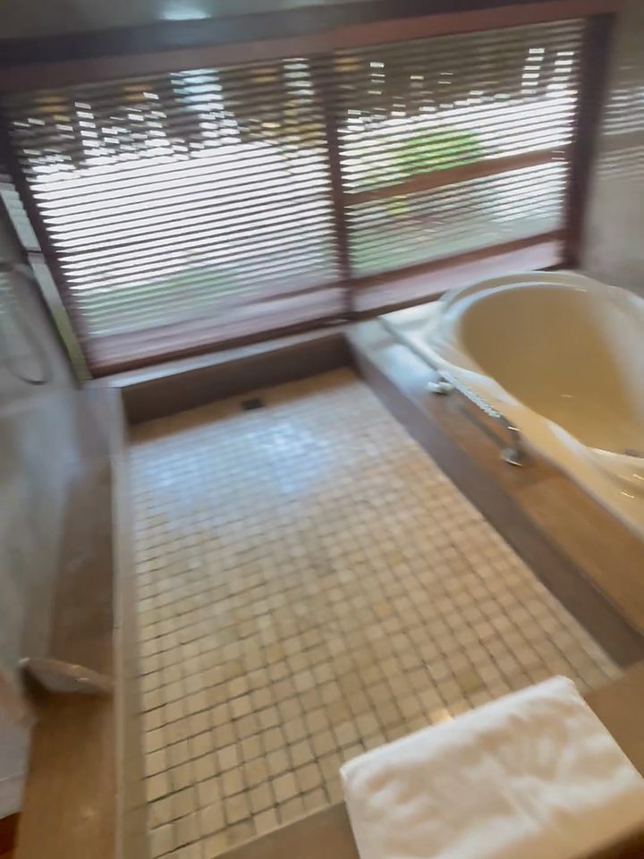 The bathroom and shower, from our own footage