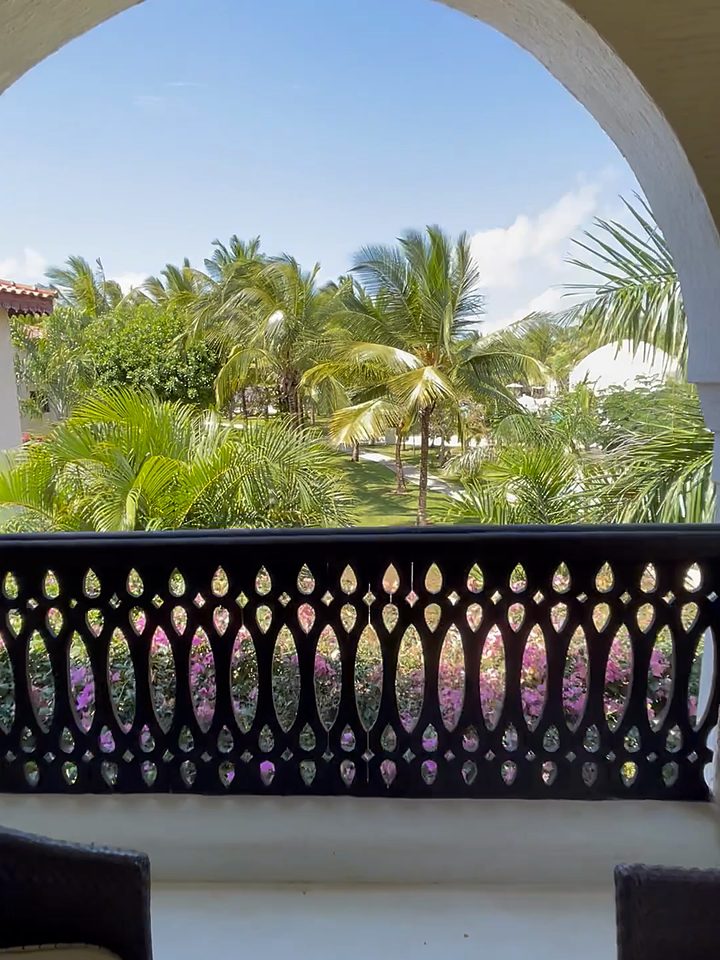 The garden from the balcony, from our own footage